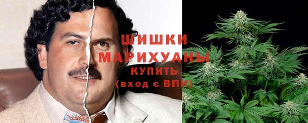 хмурый Покачи