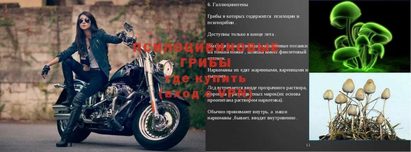 кокаин Приозерск